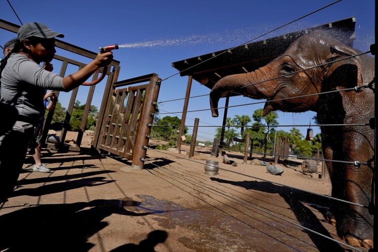 Elephant keeper Leslie Lindholm cools off Indu at the Phoenix Zoo