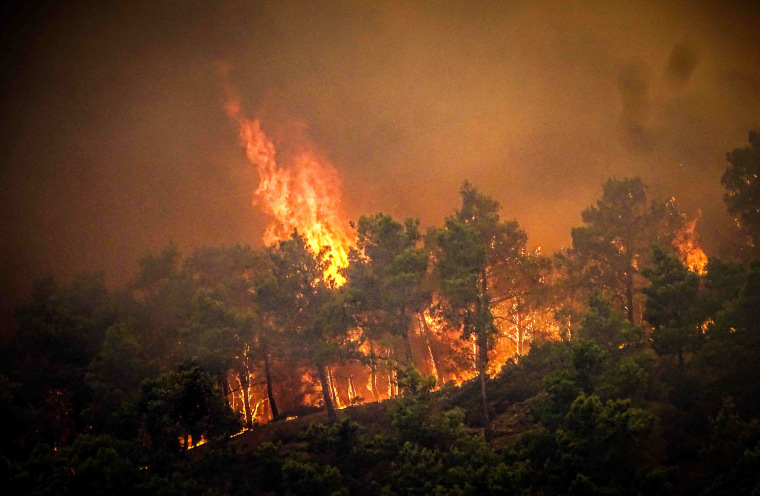 Pine trees burn in a wildfire on the island of Rhodes, Greece