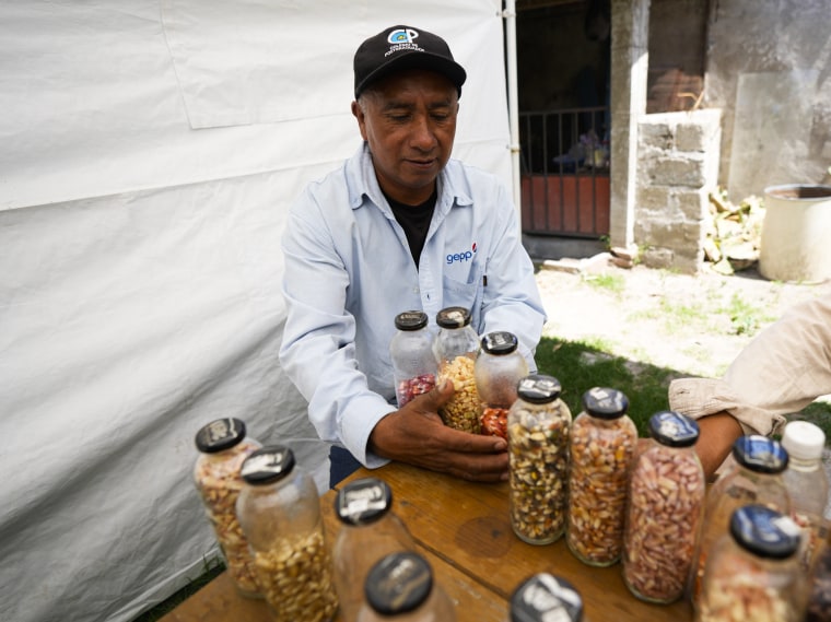 Farmer Jesus Vargas shows a variety of heirloom corn grown on his farm in Ixtenco, Mexico. 
