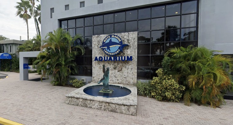 Mote Marine Laboratory and Aquariumin in Sarasota, Fla.