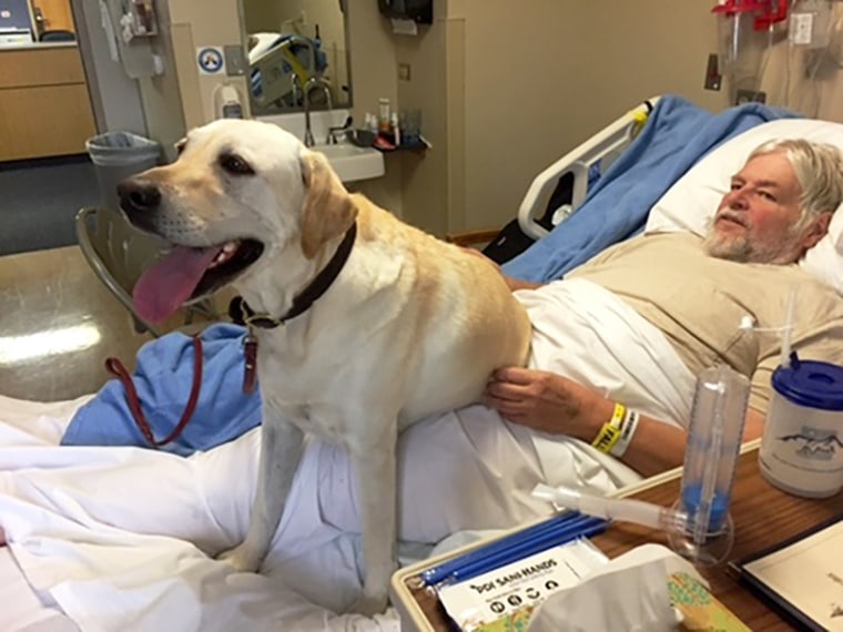 John VanDenBerg lies in bed paralyzed, with his dog, in Sept. 2018.