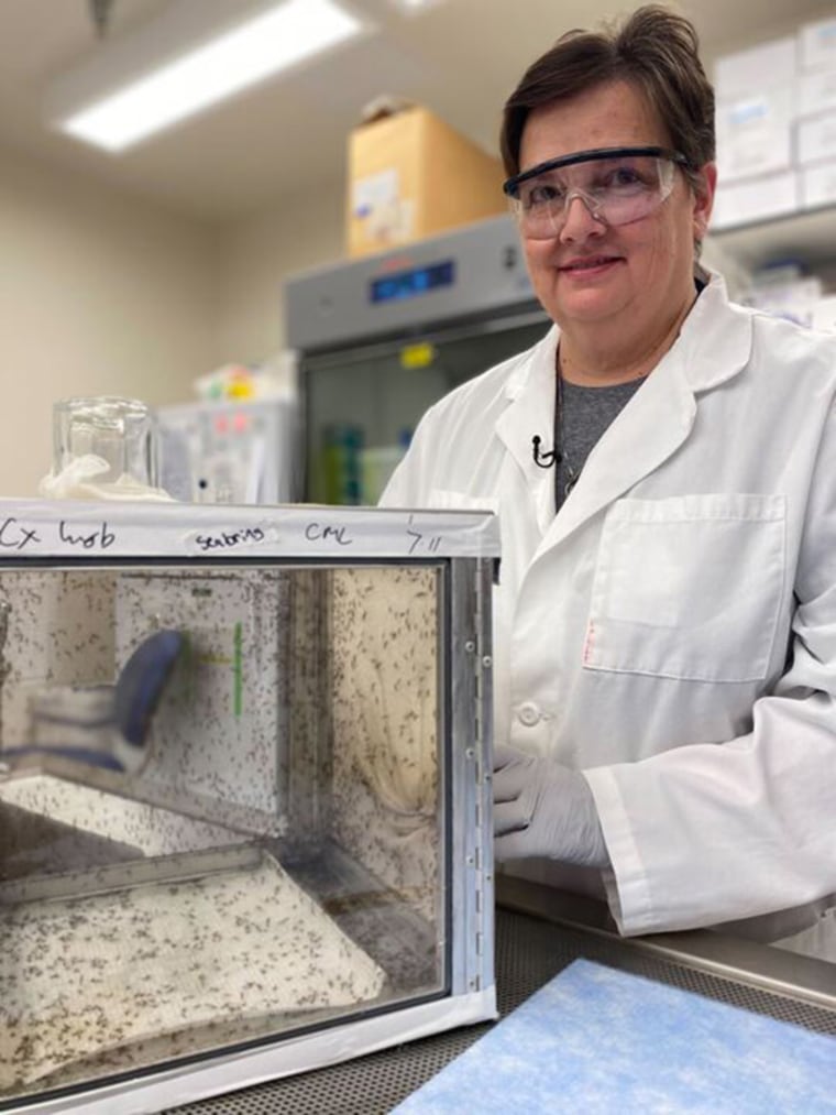 The CDC's Roxanne Connelly studies mosquitoes that can carry West Nile virus.