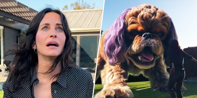 Courteney Cox was petrified of her dog in her ode to the Grimace Shake trend.