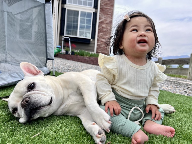 Gerber Baby Maddie Mendoza with her big sister, a French bulldog.