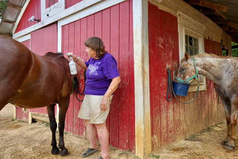 Betsy Irmischer, sprays her horses down with water due to the excessive heat and lack of access to water  at her home in Lamar, Mississippi in Marshall County on Aug. 3, 2023.         
