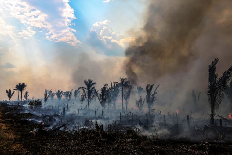 A burnt are of the Amazonia rainforest in Apui, southern Amazonas State, Brazil, on Sept. 21, 2022.