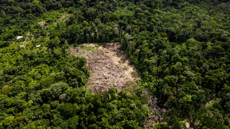 Deforestation in the Amazon in Colombia on March 31, 2023.