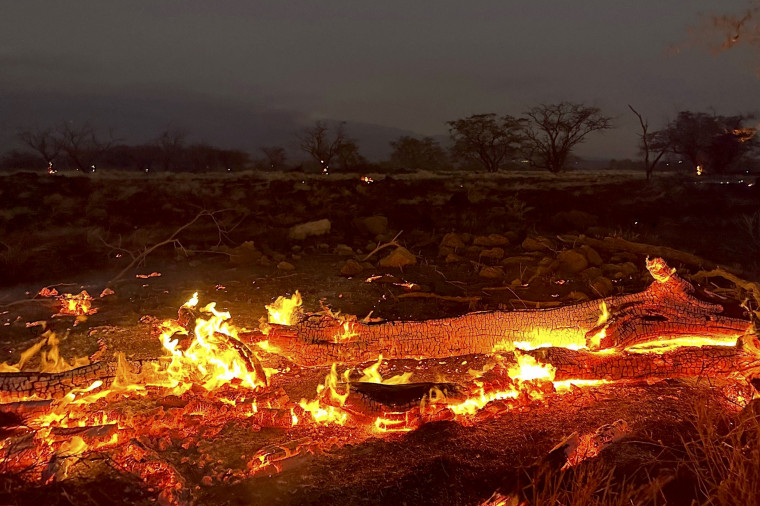 Maui Rippers  The impact of the wildfire in Lahaina has been