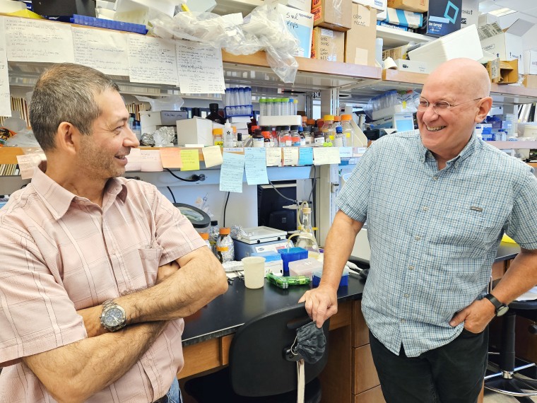Rick Tarleton, right, leads a team of researchers at the University of Georgia that has developed a promising new drug for the treatment of Chagas disease, with researcher Angel Padilla.