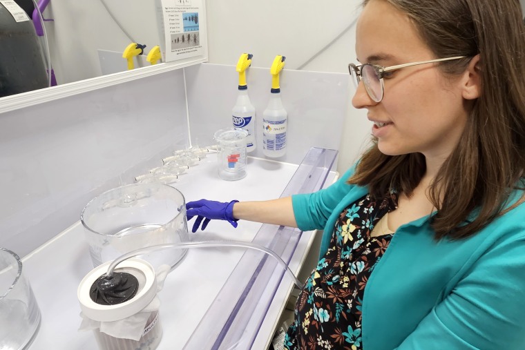 Ruby Harrison, a postdoctoral fellow at the University of Georgia, puts triatomine bugs infected with Trypanosoma cruzi parasites to sleep with gas.