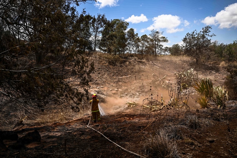 Image: A Maui County firefighter uses a hose line to extinguish a fire near homes during the upcountry Maui wildfires in Kula, Hawaii on Aug. 13, 2023.