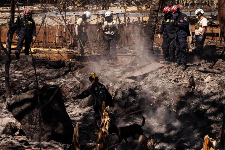 Maui wildfires 850 people missing, mayor says