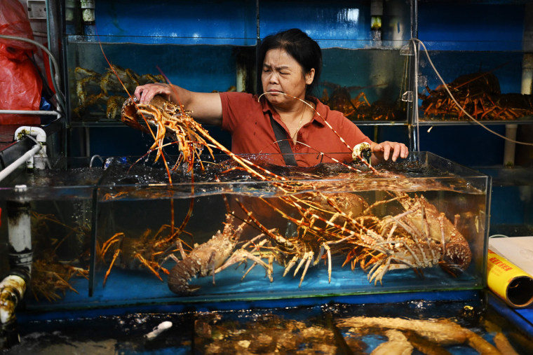 China on August 24 banned all Japanese seafood imports over what it said was the "selfish" release of wastewater from the crippled Fukushima nuclear plant. 