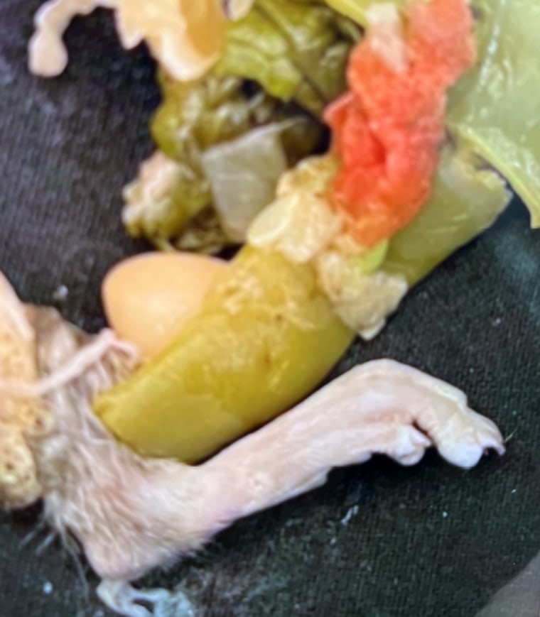 A photo of the rodent foot that Thomas Howie says he found in minestrone soup at a Michigan Olive Garden.