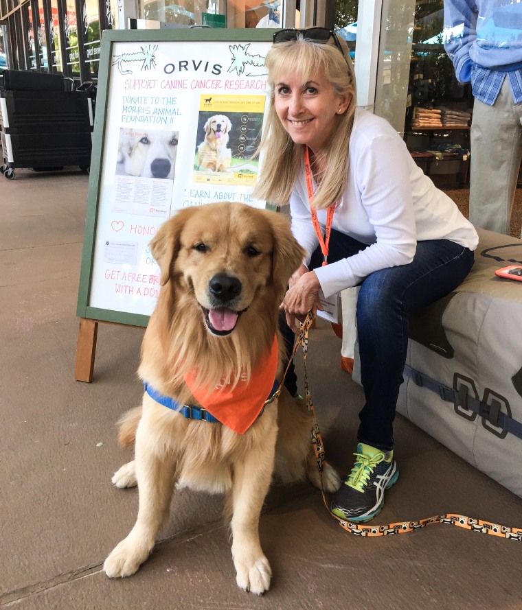 Julie Carter with her Golden Retriever, Oliver, who was diagnosed first with a heart murmur and then, after an echocardiogram, full-blown DCM in February of 2018.
