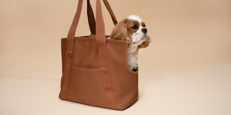 The size, material and safety certifications can all determine which travel carrier is right for your dog. 