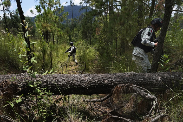 Mexican National Guards protect local farmers as they plant pine saplings in a recently deforested area in Mexico City