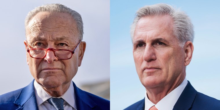 Chuck Schumer and Kevin McCarthy.
