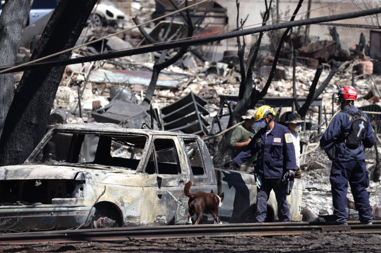 Search and rescue crews look through the remains of a neighborhood in Lahaina, Hawaii, on Aug. 17, 2023.