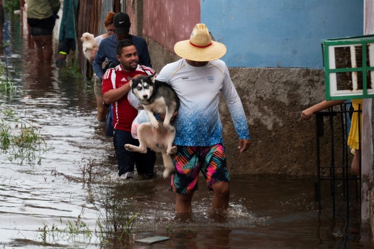 Personas cargan a sus mascotas en la provincia de Mayabeque, Cuba, tras el paso de Idalia.