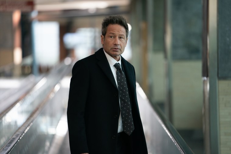 David Duchovny in "What Happens Later."