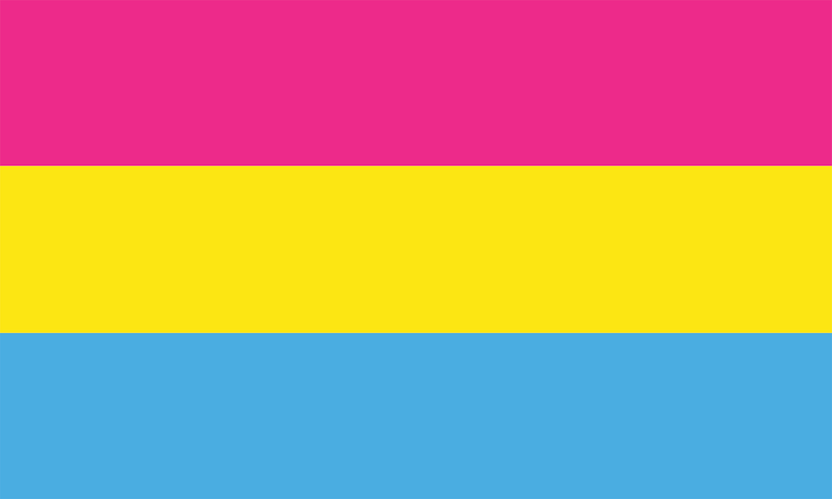 Pansexual flag.