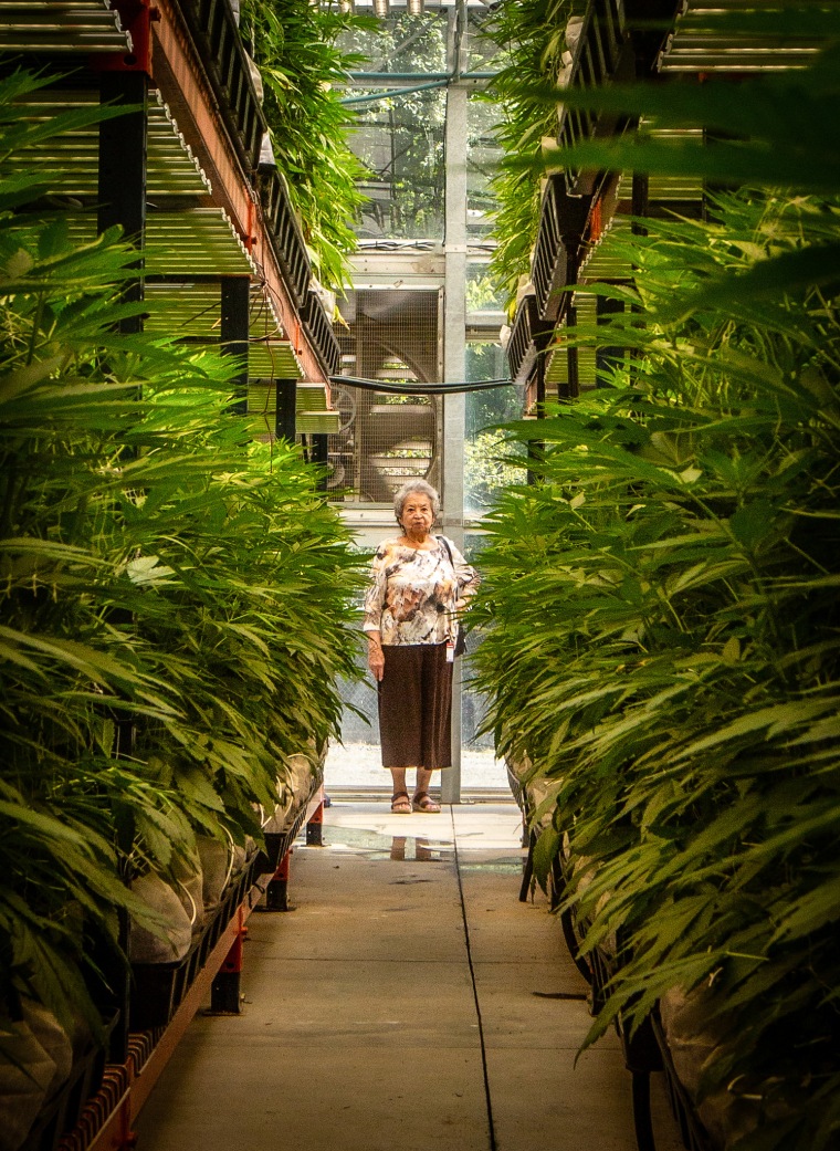 A tribal elder takes a tour of Qualla Enterprises, LLC in Cherokee, N.C., on Sept. 1, 2023.