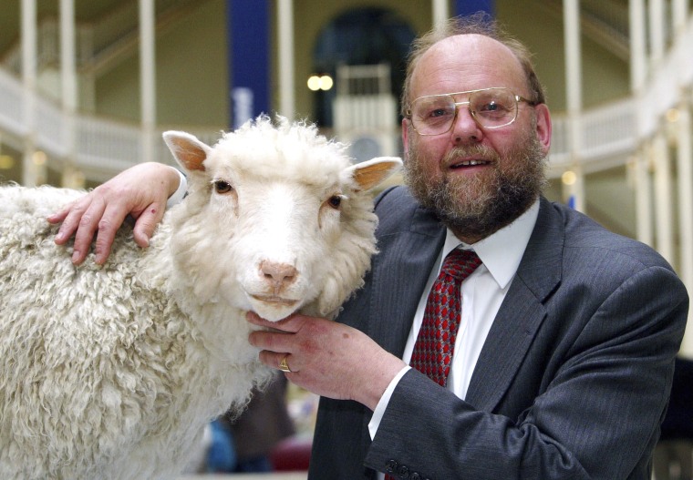 Professor Ian Wilmut with Dolly the sheep on display in the National Museums of Scotland