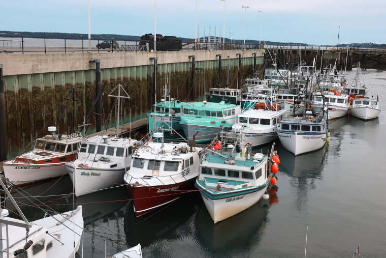 Boats are docked together in a protective cove before the possible arrival of Hurricane Lee on September 15, 2023 in Eastport, Maine. Most of Maine is now in a Tropical Storm warning as Lee continues its path up the coastline. Forecasters say it will remain large and dangerous.