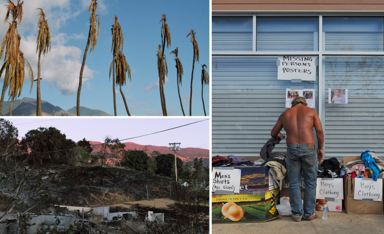 Burned coconut trees and a man looking clothing at a donation site  in Lahaina.