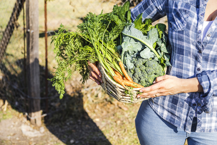 Organic homegrown produce - Unrecognizable woman holding a basket with organic homegrown produce: carrots, broccoli and spinach.