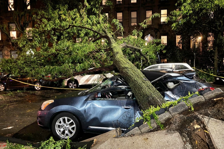 A tree fell on a car amid heavy rain and flooding in the Prospect Heights neighborhood of Brooklyn, New York, on Sept. 29, 2023.