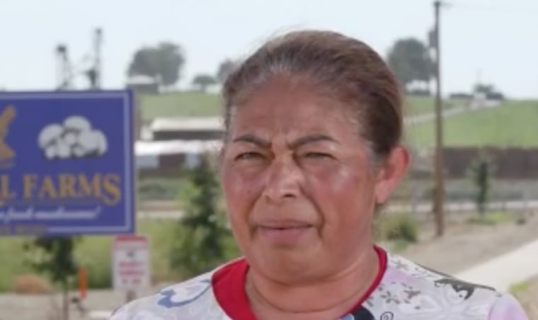 Rosa Isela Cabrera, recolectora de hongos.