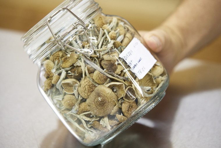 Setas de psilocibina listas para su distribución en el laboratorio Uptown Fungus de Springfield, Oregon.
