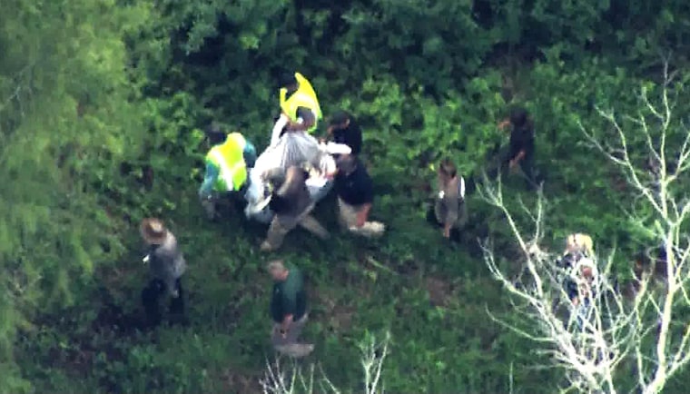 Disney: Black bear spotted at Magic Kingdom