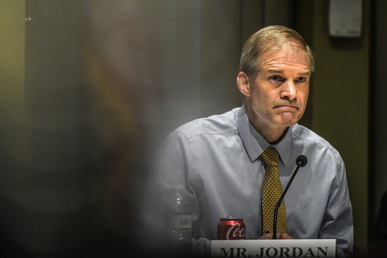 Jim Jordan during a field hearing in New York