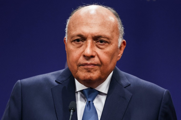 Egyptian Foreign Affairs Minister Sameh Shoukry in Turkey.