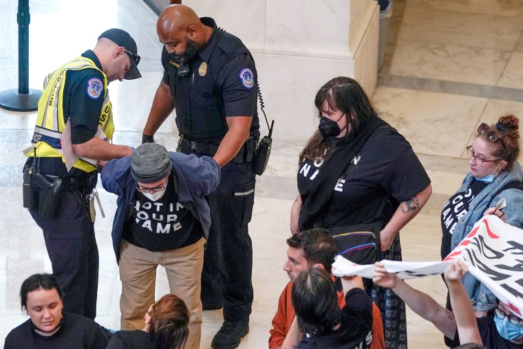 arrest israel hamas war rally dc washington