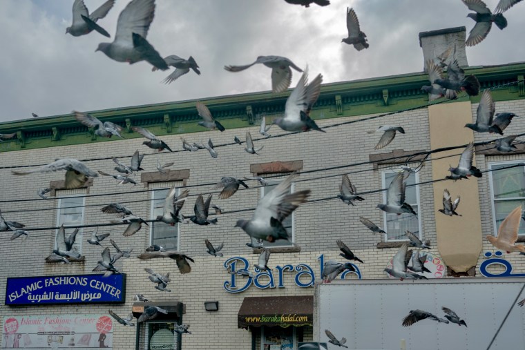Pigeons fly in the main intersection of Little Palestine in Paterson, N.J.