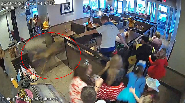 Customers flee as a deer ran through a restaurant in Wisconsin.