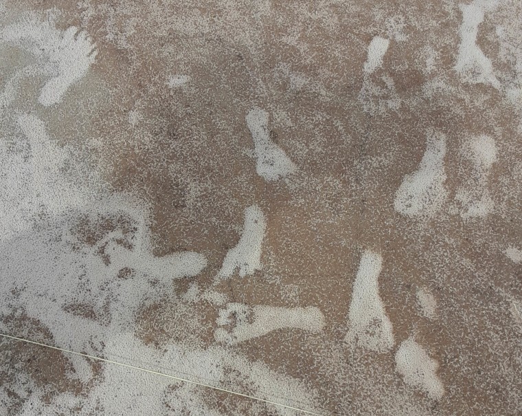 Fossil human footprints