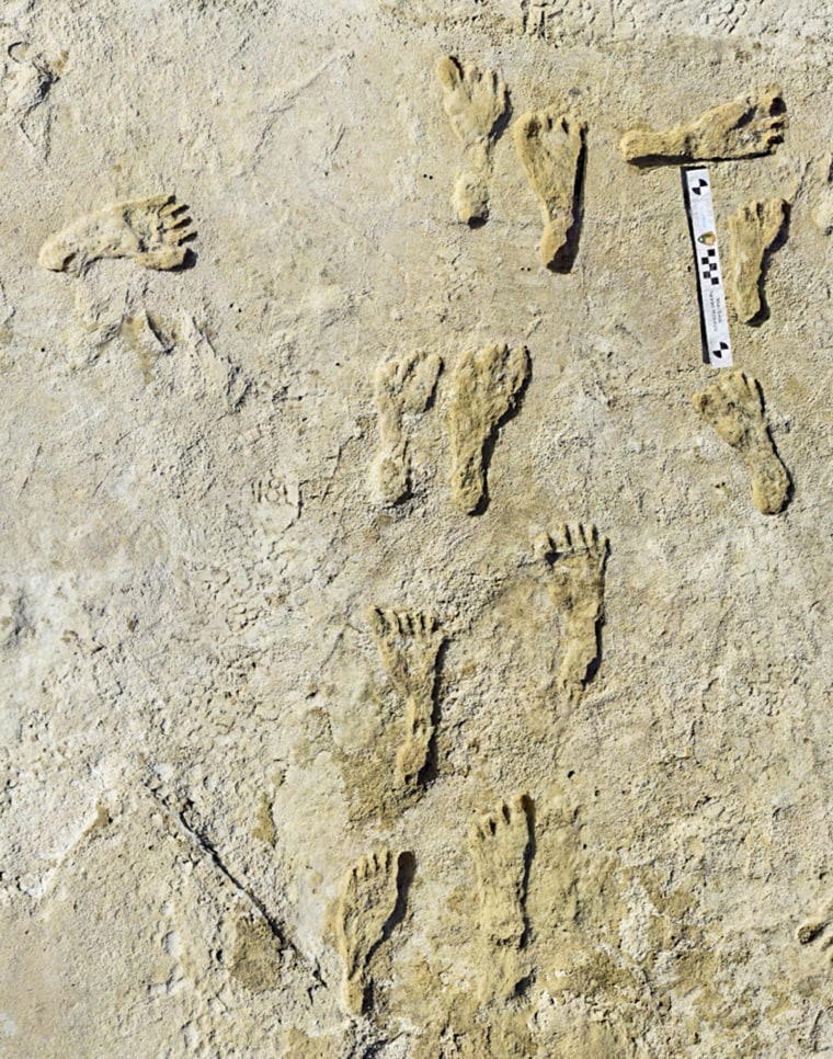 Fossil human footprints