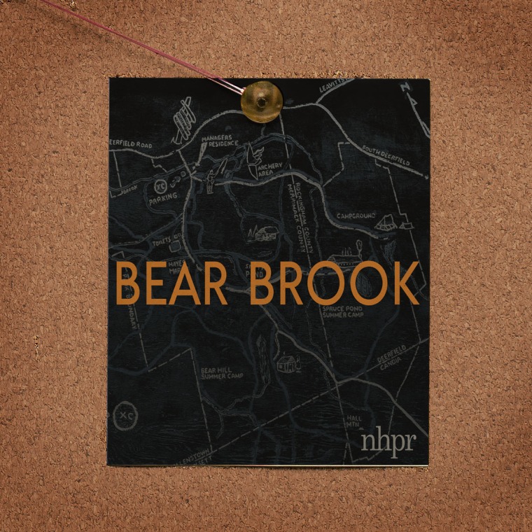 Bear Brook Logo pinned to cork board
