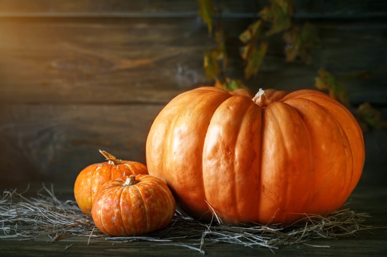 12 Pumpkin Facts For Thanksgiving That Celebrate Fall