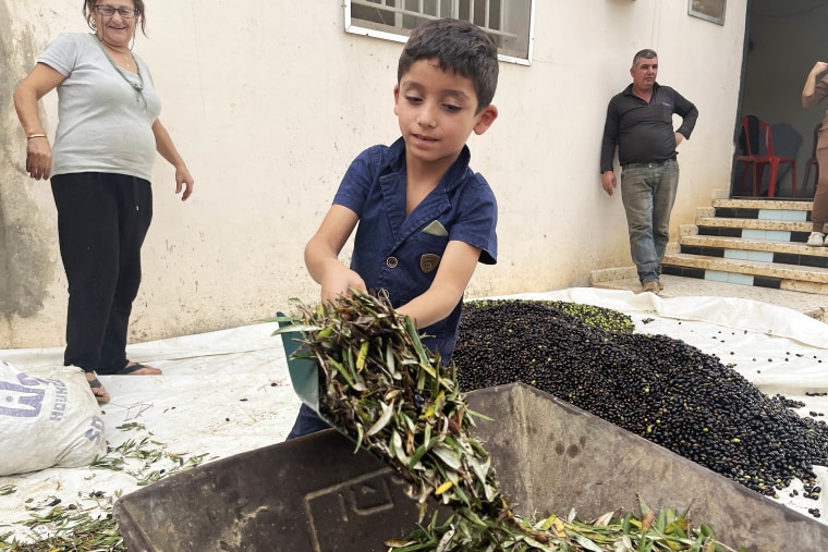 8 year old Amin Al Ayoub shovels olive leaves as the olive oil season begins in southern Lebanon. He and his family do not have the means to leave their village of Ain Ebel and tell NBC News they have heard the sound of clashes between hizbullah and Israel increasing in recent days.