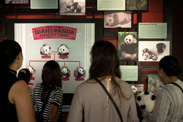 People view an exhibit at the Panda House at the Smithsonian National Zoo