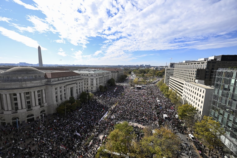 An aerial view of protestors at the Freedom Plaza where protestors gathered to hold a pro-Palestinian rally