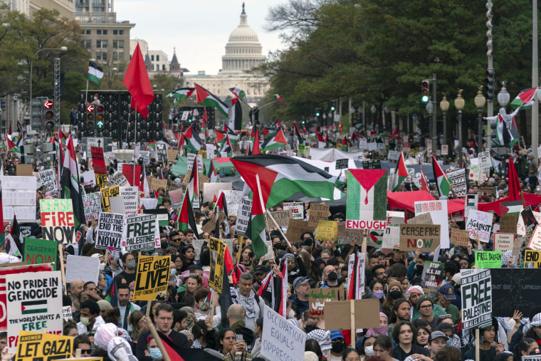 Palestinian supporters rally during a demonstration at Freedom Plaza in Washington D.C., Saturday, Nov. 4, 2023.