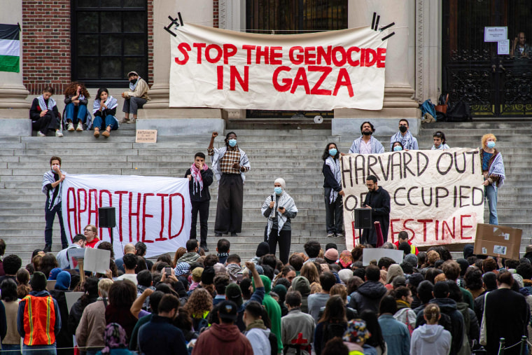 Pro-Palestine supporters speak on the steps of a Harvard University building as a crowd listens