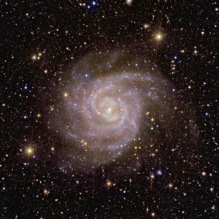The Euclid telescope's view of a spiral galaxy known as IC 342.